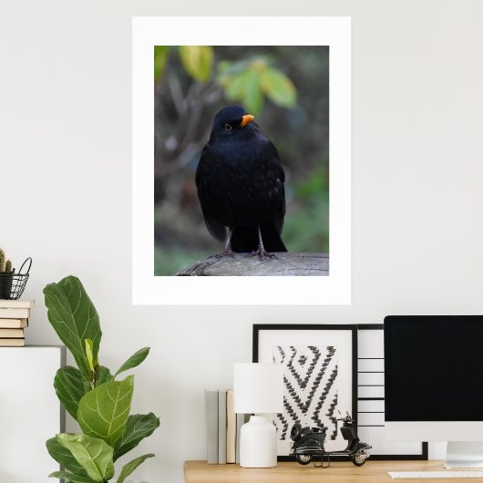 Blackbird poster (Thuiskantoor)