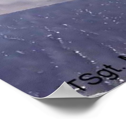 BLACKBIRD POSTER (Hoek)