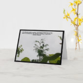 Blackbird-prijsopgave Kaart (Gele Bloem)