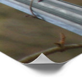 Blackbird Print (Hoek)