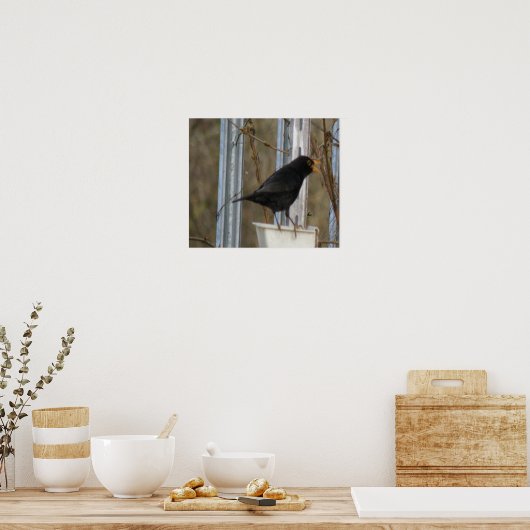 Blackbird Print (Keuken)
