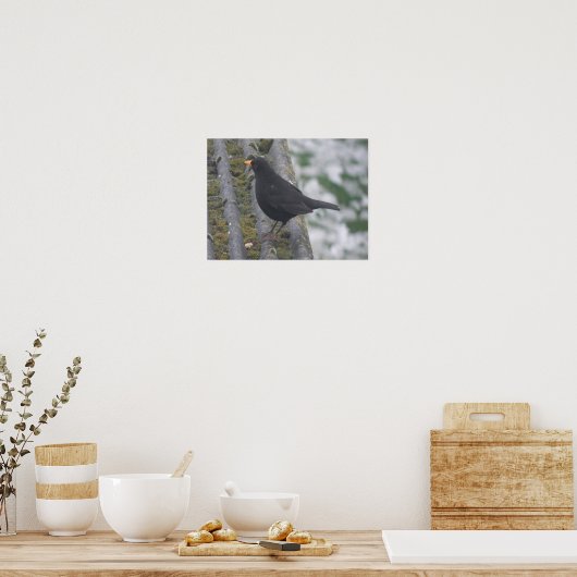 Blackbird Print (Keuken)