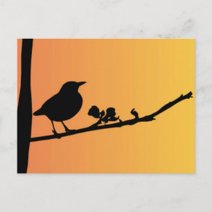 Blackbird Silhouette Briefkaart