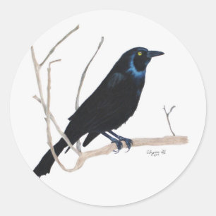Blackbird Sticker
