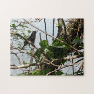 Blackbird zingen puzzel