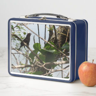 Blackbird Zingend Metalen Lunchbox