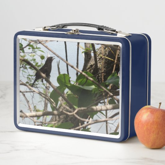 Blackbird Zingend Metalen Lunchbox (In situ)