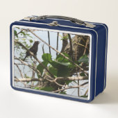 Blackbird Zingend Metalen Lunchbox (Voorkant)