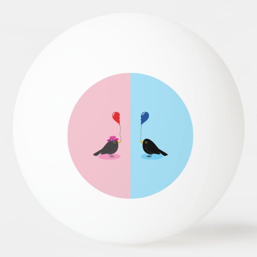 Blackbird zoekt je andere helft pingpongbal (Voorkant)