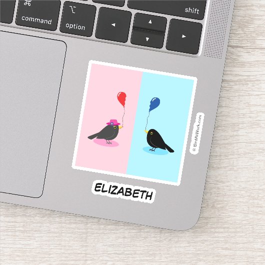 Blackbird zoekt je andere helft sticker (Detail)