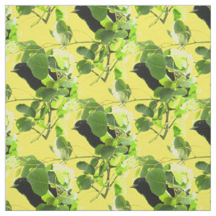 Blackbirds stof