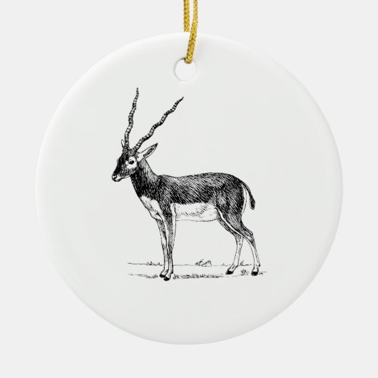Blackbuck Antelope Keramisch Ornament (Voorkant)