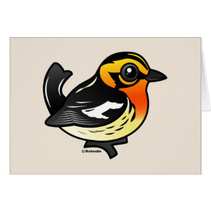 Blackburnian Warbler