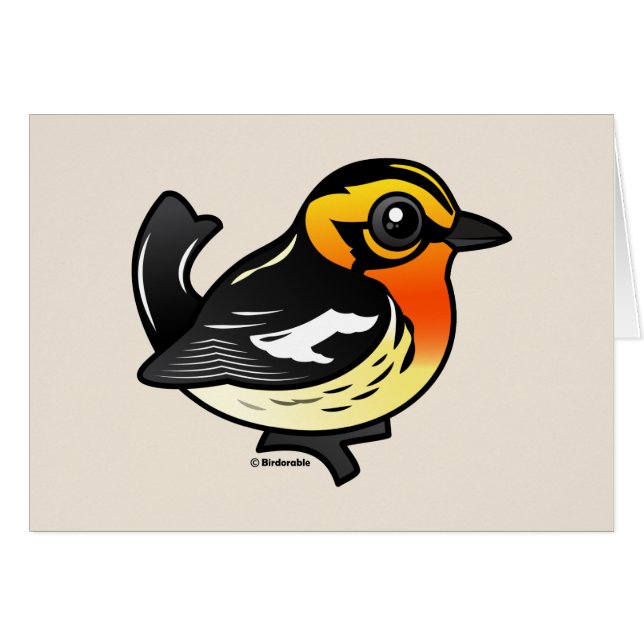 Blackburnian Warbler (Voorkant Horizontaal)