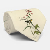 Blackburnian Warbler - Amerikaanse vogels van Audu Stropdas (Opgerold)