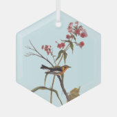 Blackburnian Warbler  Audubon Songbird Art Glas Ornament (Voorkant)