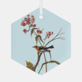 Blackburnian Warbler  Audubon Songbird Art Glas Ornament (Achterkant)