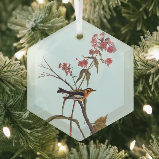 Blackburnian Warbler  Audubon Songbird Art Glas Ornament (Insitu)
