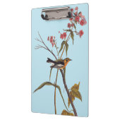 Blackburnian Warbler Audubon Songbird Art Klembord (Links)