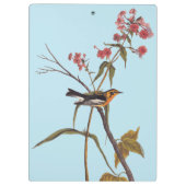 Blackburnian Warbler Audubon Songbird Art Klembord (Achterkant)
