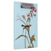 Blackburnian Warbler Audubon Songbird Art Klembord (Rechts)