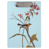 Blackburnian Warbler  Audubon Songbird Art Klembord (Voorkant)