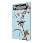 Blackburnian Warbler  Audubon Songbird Art Mini Klembord (Angled2)