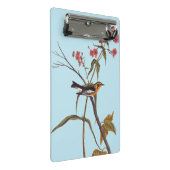 Blackburnian Warbler  Audubon Songbird Art Mini Klembord (Schuin)