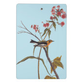 Blackburnian Warbler  Audubon Songbird Art Mini Klembord (Achterkant)