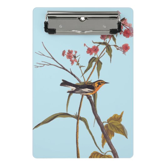 Blackburnian Warbler  Audubon Songbird Art Mini Klembord (Voorkant)