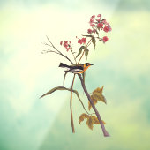 Blackburnian Warbler  Audubon Songbird Art Raamsticker (Vel 3)