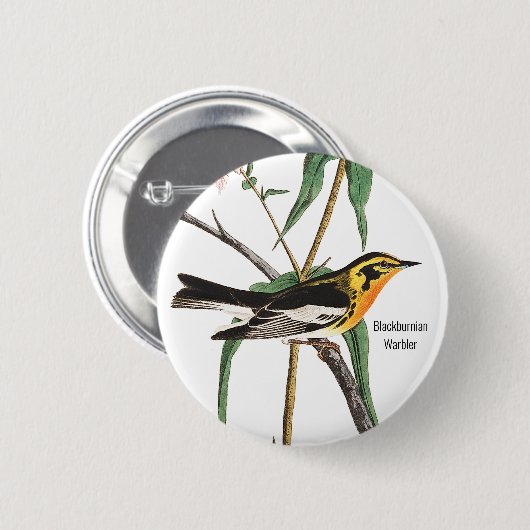 Blackburnian Warbler, Audubon, Wildlife Birder, Ronde Button 5,7 Cm (Voorkant /achterkant)