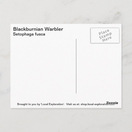 Blackburnian Warbler Briefkaart (Achterkant)