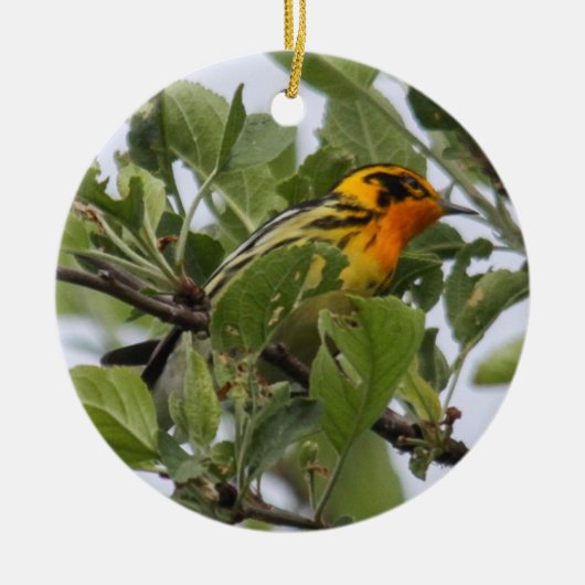Blackburnian Warbler Keramisch Ornament (Voorkant)