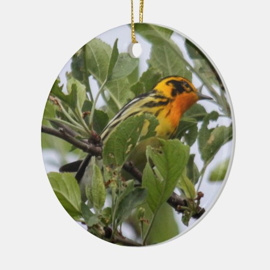 Blackburnian Warbler Keramisch Ornament (Links)