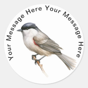 Blackcap Ronde Sticker