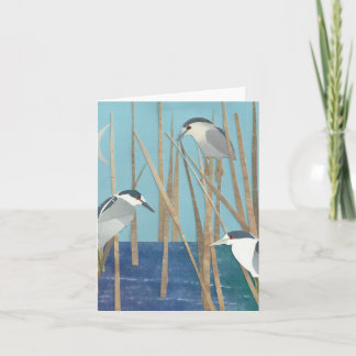 BlackCrowned Night Herons Kaart