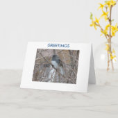 Blackeyed Junco, GROETEN, het Denken aan u Kaart (Gele Bloem)