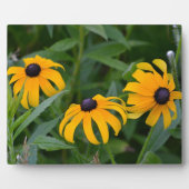 Blackeyed Susan Plaque Fotoplaat (Voorkant)
