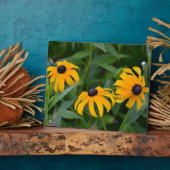 Blackeyed Susan Plaque Fotoplaat (Zijkant)