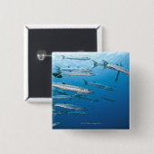 Blackfin Barracuda Vierkante Button 5,1 Cm (Voorkant /achterkant)