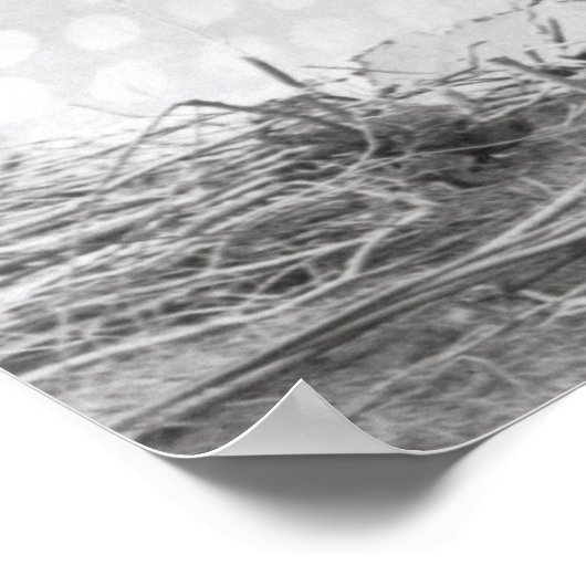 Blackfoot Brave, bij Calgary, Alberta, 1889 Poster (Hoek)