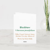 Blackhaw Notecard Kaart (Achterkant)