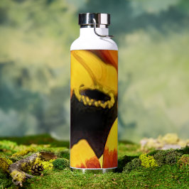 BlackHole 'b' Waterfles