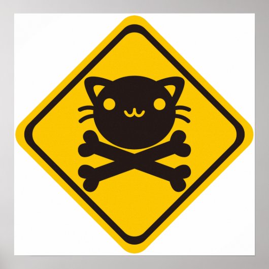 BlackJack (Cat) Poster (Voorkant)