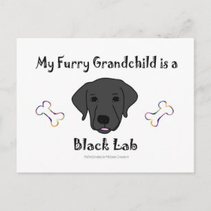 BLackLab Briefkaart