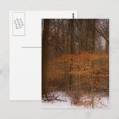 Blacklick Park Briefkaart (Voorkant / Achterkant)