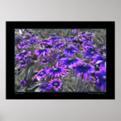 Blacklight Moment in het Poster Gloriosa (Voorkant)