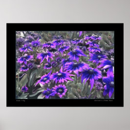 Blacklight Moment in het Poster Gloriosa