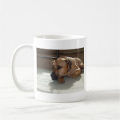 blackmouth cur leggen koffiemok (Links)